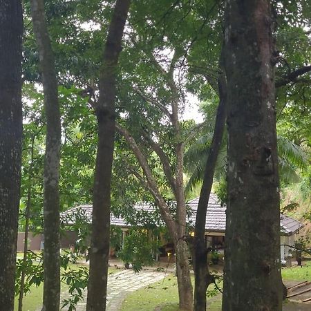 Villa D55 Канди Экстерьер фото