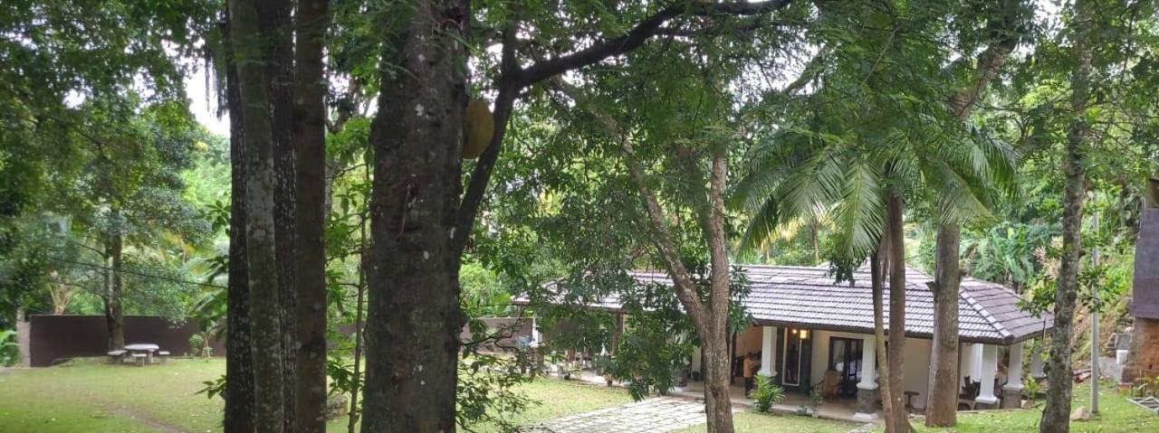 Villa D55 Канди Экстерьер фото